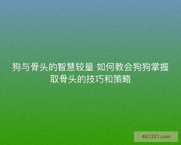 狗与骨头的智慧较量 如何教会狗狗掌握取骨头的技巧和策略